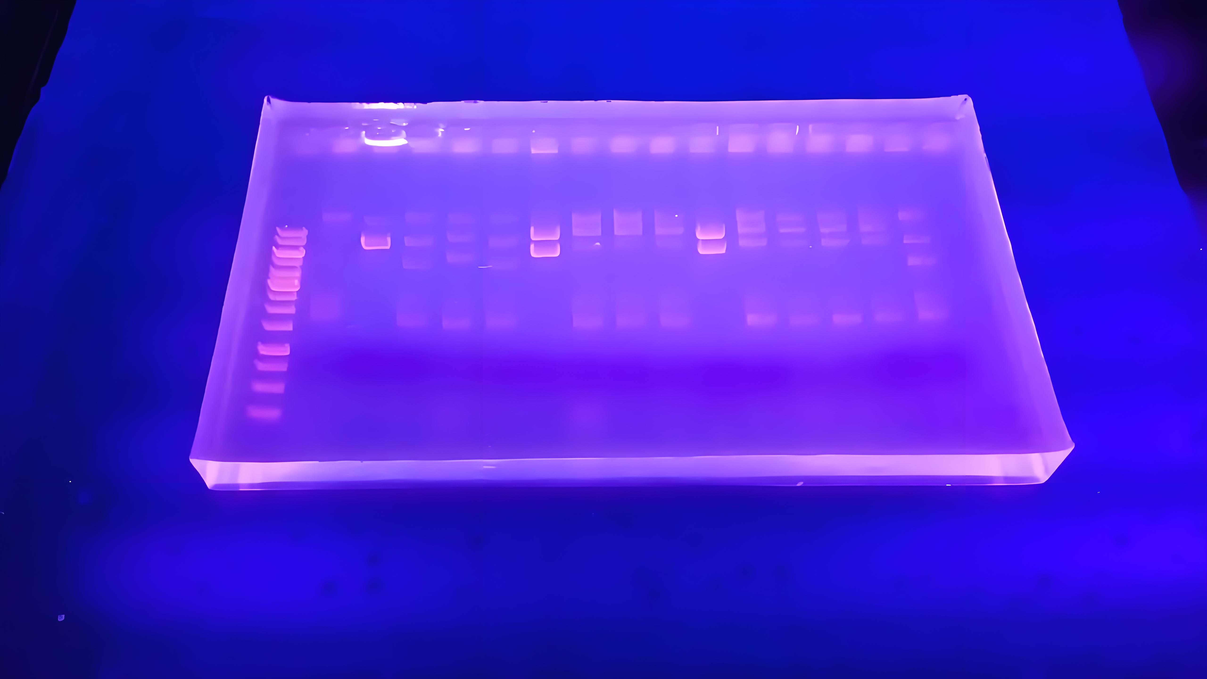 Agarose gel electrophoresis detection