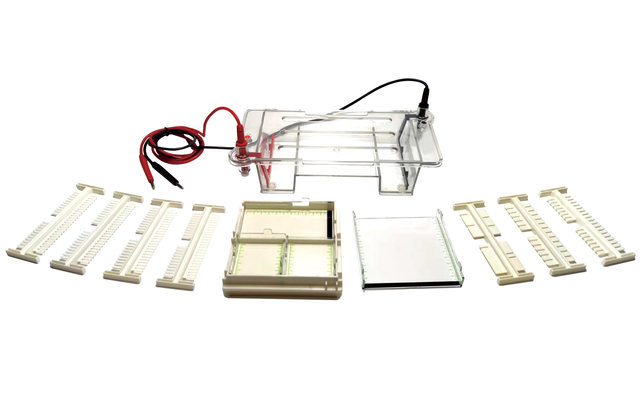 Electrophoresis Horizontal Chamber (KIT) Usually used