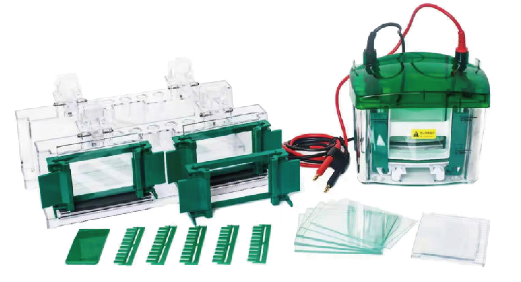 Electrophoresis Vertical Cell (KIT)