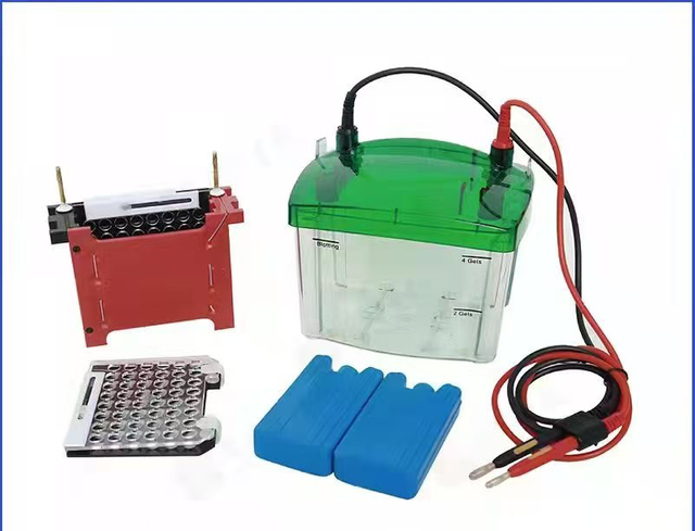 Electrophoresis Transferl Cell (KIT)